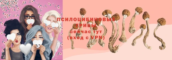 шишки Алексеевка